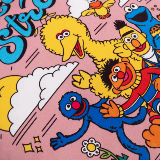 Putetrekk 47 x 47cm - Sesame Street Since 1969 03