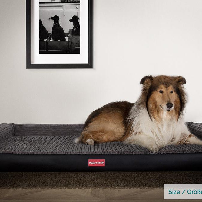 Benken, Ortopedisk Memory Foam Hundeseng, , Stor, Medium, XXL - Kunstskinn Svart