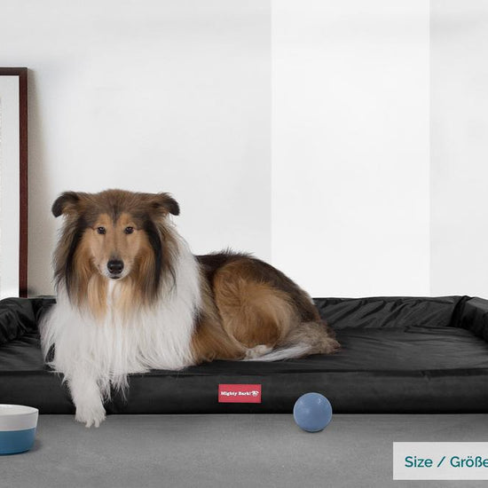 Benken, Ortopedisk Memory Foam Hundeseng, , Stor, Medium, XXL - Vanntett Svart