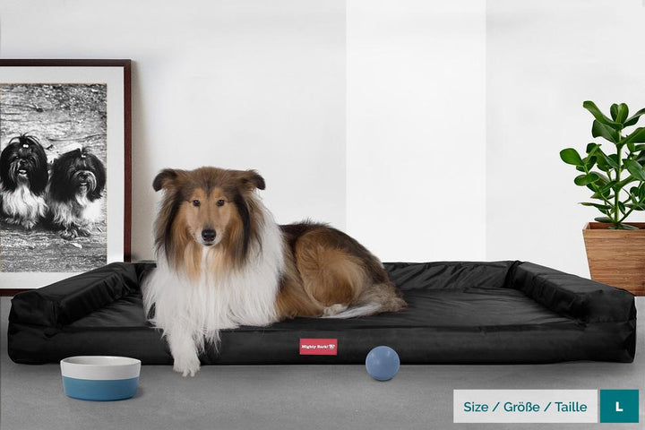 Benken, Ortopedisk Memory Foam Hundeseng, , Stor, Medium, XXL - Vanntett Svart