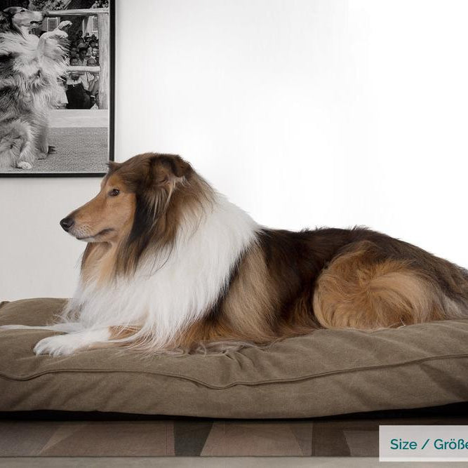 Madrassen, Ortopedisk Memory Foam Hundemadrass for Kjæledyr, Stor, XXL - Steinvasket Denim Khaki