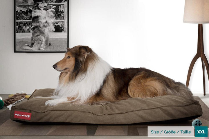 Madrassen, Ortopedisk Memory Foam Hundemadrass for Kjæledyr, Stor, XXL - Steinvasket Denim Khaki