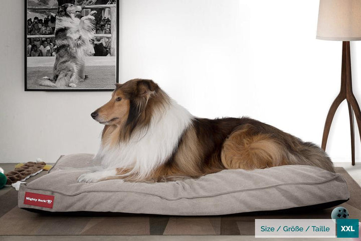 Madrassen, Ortopedisk Memory Foam Hundemadrass for Kjæledyr, Stor, XXL - Steinvasket Denim Tinn