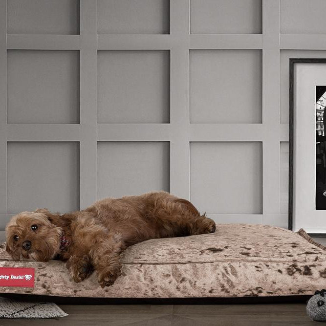 Madrassen, Ortopedisk Memory Foam Hundemadrass for Kjæledyr, Stor, XXL - Glitrende Trøffel