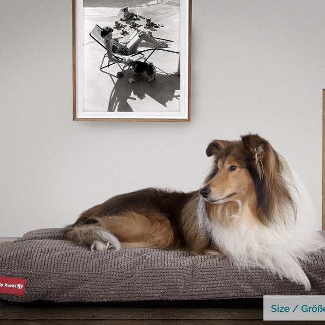 Madrassen, Ortopedisk Memory Foam Hundemadrass for Kjæledyr, Stor, XXL - Pom-pom Koksgrå