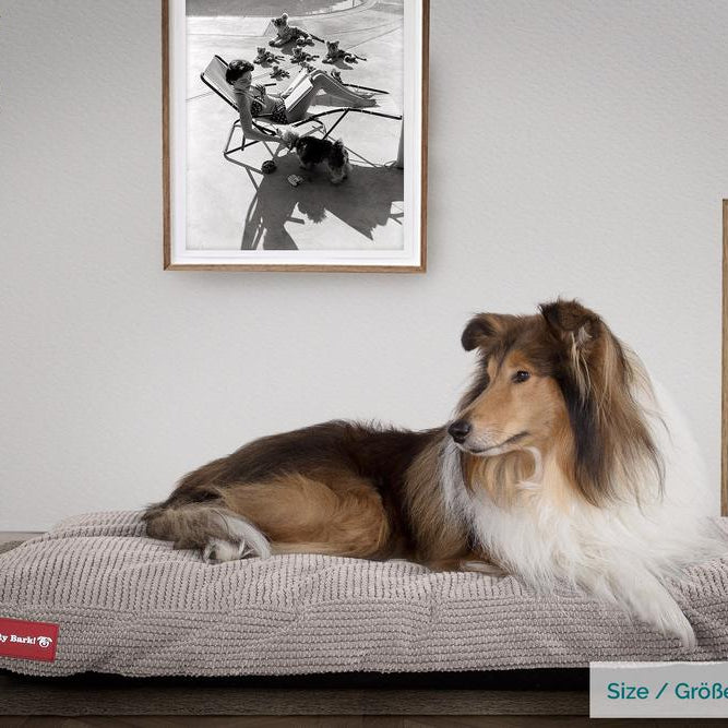 Madrassen, Ortopedisk Memory Foam Hundemadrass for Kjæledyr, Stor, XXL - Pom-pom Mink