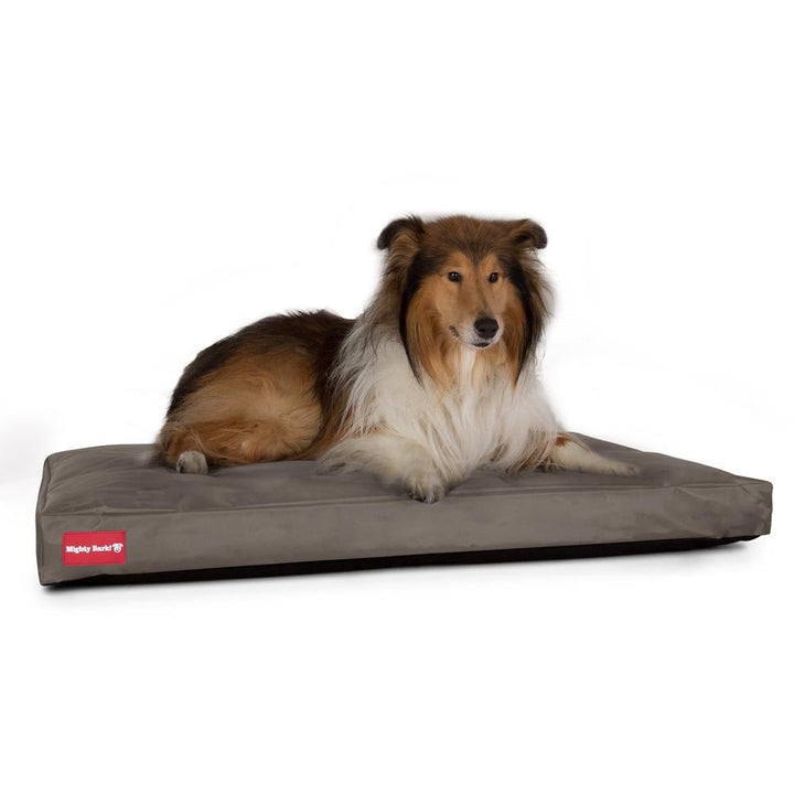 Madrassen, Ortopedisk Memory Foam Hundemadrass for Kjæledyr, Stor, XXL - Vanntett Grå