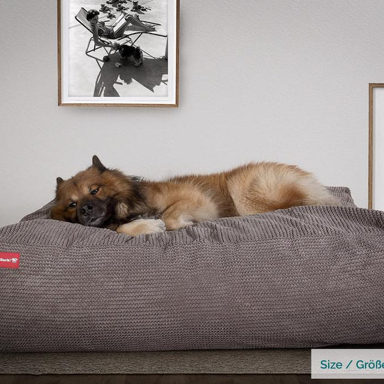 Hundepute / Puff, Memory Foam Hundeseng - Pom-pom Koksgrå