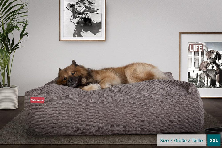 Hundepute / Puff, Memory Foam Hundeseng - Pom-pom Koksgrå