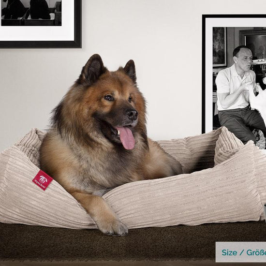 Hundekurv, Ortopedisk Memory Foam Hundeseng for Kjæledyr, Liten, Middels, Stor - Cord Mink