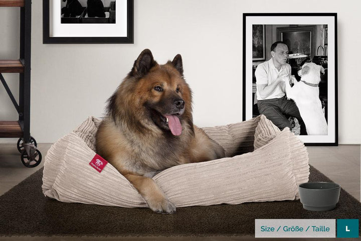 Hundekurv, Ortopedisk Memory Foam Hundeseng for Kjæledyr, Liten, Middels, Stor - Cord Mink