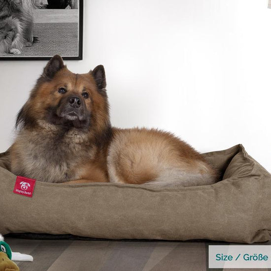 Hundekurv, Ortopedisk Memory Foam Hundeseng for Kjæledyr, Liten, Middels, Stor - Steinvasket Denim Khaki