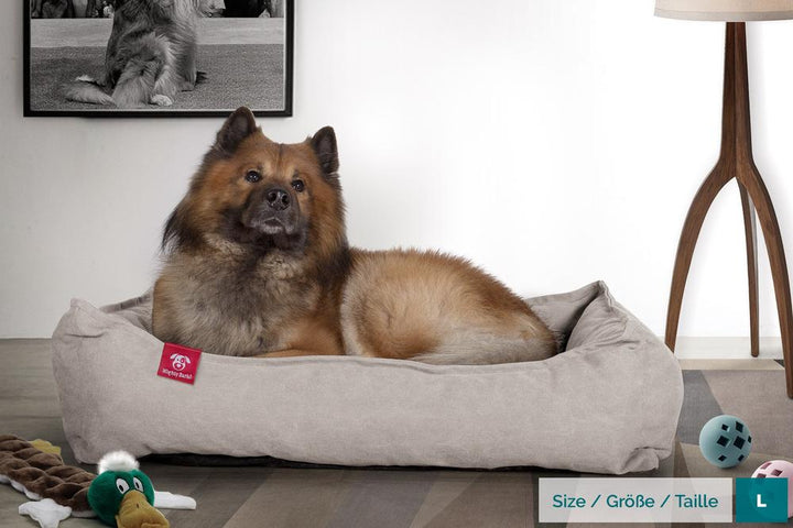 Hundekurv, Ortopedisk Memory Foam Hundeseng for Kjæledyr, Liten, Middels, Stor - Steinvasket Denim Tinn