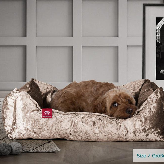 Hundekurv, Ortopedisk Memory Foam Hundeseng for Kjæledyr, Liten, Middels, Stor - Glitrende Trøffel