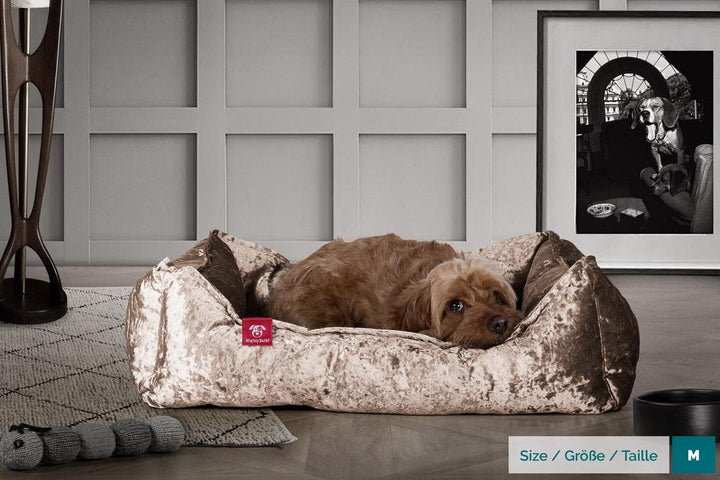 Hundekurv, Ortopedisk Memory Foam Hundeseng for Kjæledyr, Liten, Middels, Stor - Glitrende Trøffel