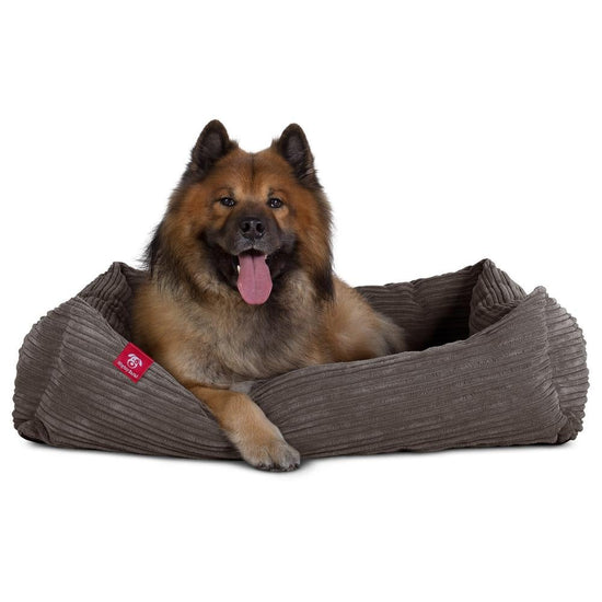 Hundekurv, Ortopedisk Memory Foam Hundeseng for Kjæledyr, Liten, Middels, Stor - Cord Grafitt