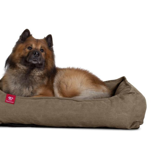 Hundekurv, Ortopedisk Memory Foam Hundeseng for Kjæledyr, Liten, Middels, Stor - Steinvasket Denim Khaki