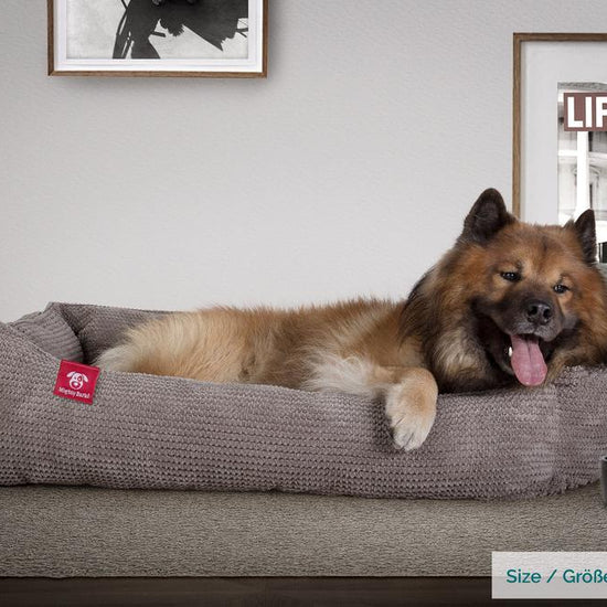 Hundekurv, Ortopedisk Memory Foam Hundeseng for Kjæledyr, Liten, Middels, Stor - Pom-pom Koksgrå
