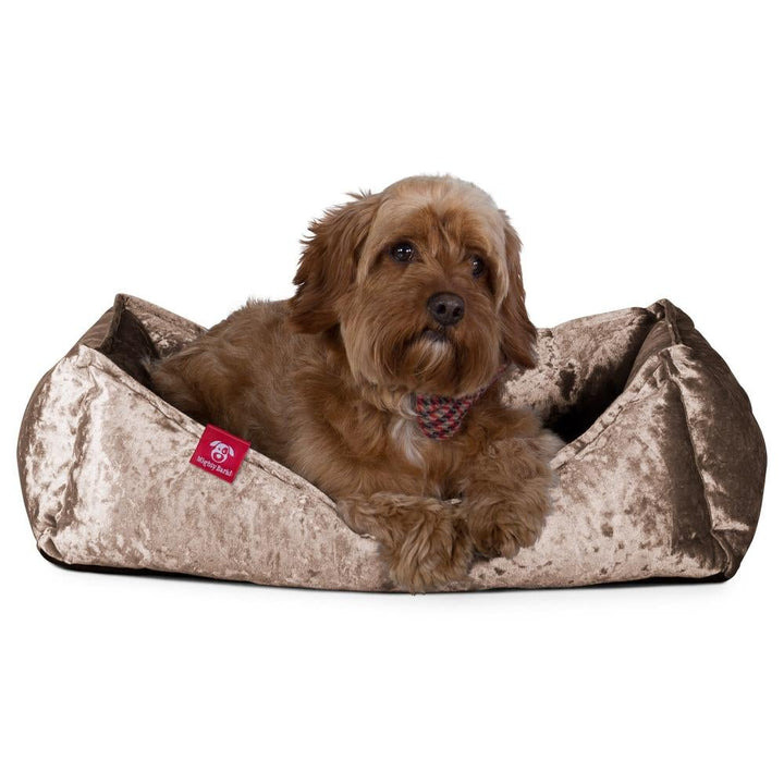 Hundekurv, Ortopedisk Memory Foam Hundeseng for Kjæledyr, Liten, Middels, Stor - Glitrende Trøffel