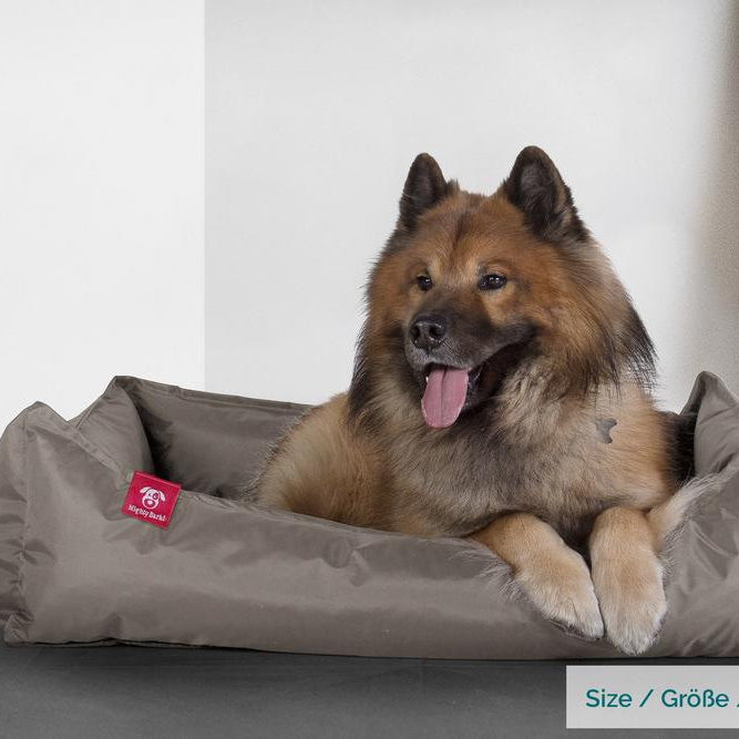 Hundekurv, Ortopedisk Memory Foam Hundeseng for Kjæledyr, Liten, Middels, Stor - Vanntett Grå