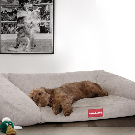 Sofaen, Ortopedisk Memory Foam Hundesofa,  Stor, Medium, XXL - Steinvasket Denim Tinn