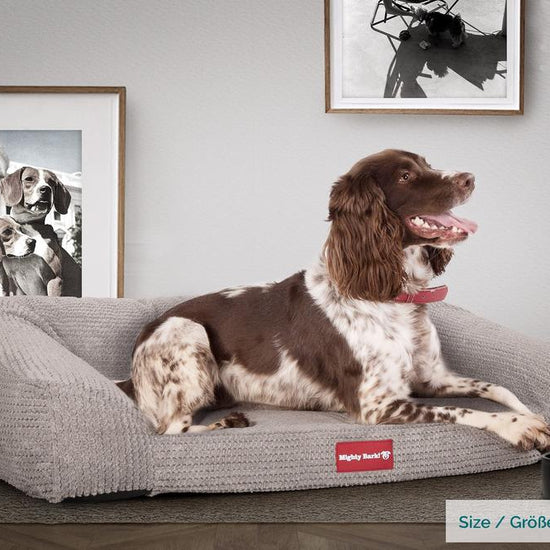 Sofaen, Ortopedisk Memory Foam Hundesofa,  Stor, Medium, XXL - Pom-pom Mink
