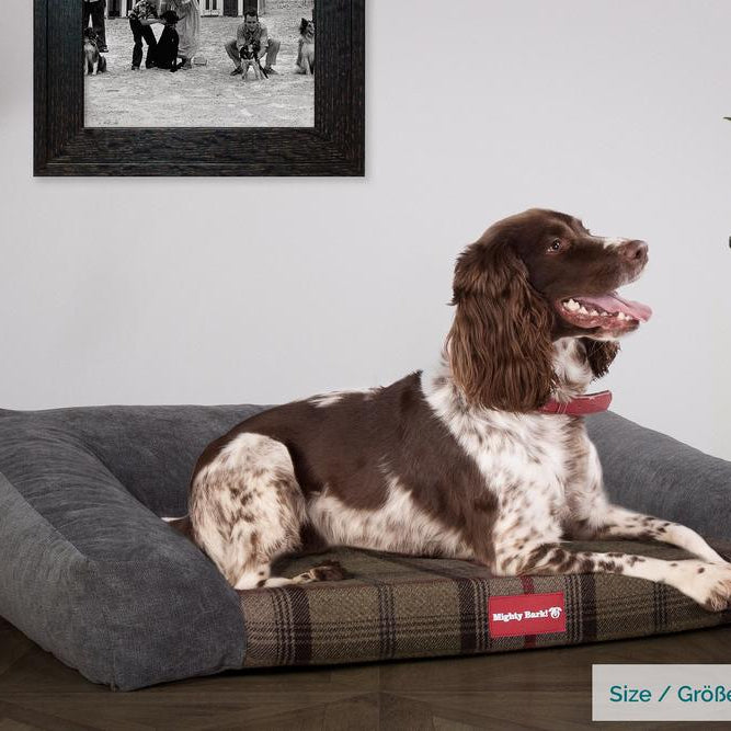 Sofaen, Ortopedisk Memory Foam Hundesofa,  Stor, Medium, XXL - Tartan Jegerfarge